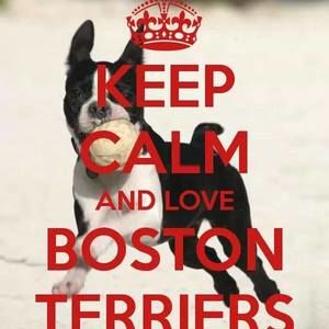 Meet your Posher, Jacqueline